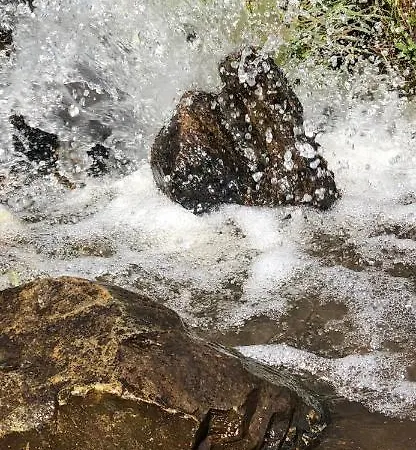 Sonnenweg Lägenhet Schladming