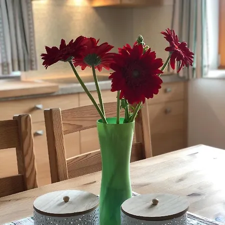 Sonnenweg Apartment Schladming